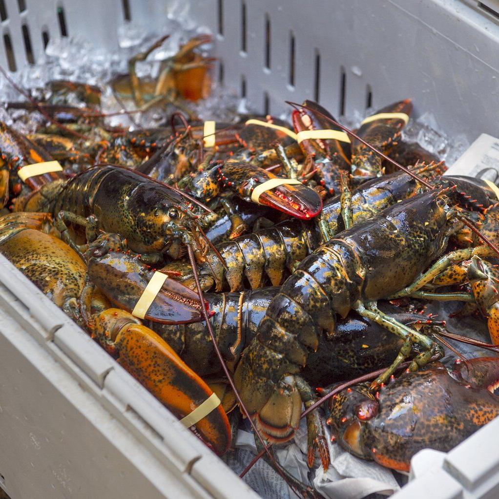 Glooscap First Nation in Nova Scotia to launch seafood market this year